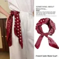 Retro French style red paisley and polka dot satin waist scarf belt accessory for women - 70cm / Red Paisley Polka Dot Style