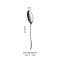 Professional 24.8cm stainless steel serving spoon featuring unique hammered handle texture - Service Spoon