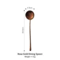 Japanese style 304 stainless steel long handle dinner spoon in matte rose gold finish - Dinner Spoon / 20.9x4.9cm / Rose Gold