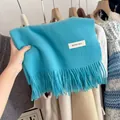 Close-up of a vibrant blue knit scarf with soft fringe detail and brand label. - Breeze Blue