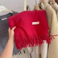 Close-up detail of a soft fuchsia knitted scarf featuring tassels and a white logo tag - 194cm / Cherry Red