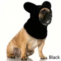 Süße warme schwarze Polarfleece-Haustiermütze Zubehör für Französische Bulldogge - S / Fledermaus Hut / Schwarz