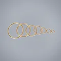 Set of premium gold zinc alloy spring O-rings in multiple sizes for bag hardware - 2 Inch (ID 50mm) / Light gold