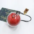 Realistic red apple hanging ornament in a clear protective sphere for Christmas decoration - 5.4cm Apple + Transparent Acrylic / Red Apple