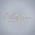 Collection of zinc alloy spring snap rings for bag hardware and DIY keyring projects - 2 Inch (ID 50mm) / Silver