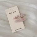Gros plan de barrettes ovales roses élégantes à motif à carreaux sur carte support - Paire Ovale à Damiers Roses / 2 Pièces/Ensemble