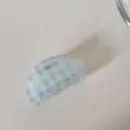 Primer plano de pinza para el pelo a cuadros azules translúcida con su textura - 蓝色格纹-贝壳抓夹