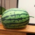 Realistisches Wassermelone Plüschkissen weiches Frucht Kuscheltier für Kinder Geschenk - Ovale Wassermelone / 10cm