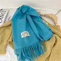 Soft blue imitation cashmere scarf featuring elegant tassels and a white decorative label - 38-180cm / Teal