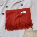 Elegant burnt orange solid color winter scarf with stylish fringes and woven brand label - Jujube Red Melange