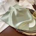 Elegante foulard in seta verde salvia per lo stile dell'uniforme professionale femminile - 70*70cm / Verde Latte