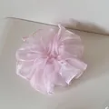 Detailansicht eines zartrosa Organza-Haargummis mit eleganten, gerafften Kanten - Perlen-Netz-Haargummi / Rosa