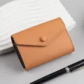 Braunes Akkordeon-Kartenetui aus echtem Leder mit Klappenverschluss und Druckknopf - Horizontal / Braun