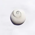 Natural Shiva Eye shell fossil with a polished spiral pattern for DIY jewelry making - Round / 3-4cm