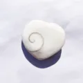 Macro detail of heart-shaped natural Shiva Eye shell pendant featuring a spiral pattern - Heart / 3-4cm
