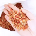 Close-up van gepolijst natuurlijk rood agaatgrind vastgehouden in een mensenhand - Ongeveer 7-9mm (100g)