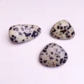 Natural Dalmatian jasper spotted stone beads with pre-drilled holes for DIY jewelry making - Dalmatian Jasper