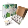 Set de 12 velas aromáticas de citronela en cubos de metal con caja de regalo tropical - Caja de Regalo Velas de Citronela / Juego de 12
