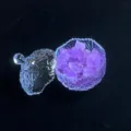 Kristall-Entmagnetisierungsschale für Schmuck mit lila Amethyst-Rohsteinen-Variante - Helle Amethyst Steine (Sternen Schale) / 300g Packung