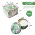 Vela aromática de menta en una caja floral decorativa con caja de regalo a juego - Menta (Sin Flores Secas) / Tarro Único