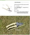 Detailed view of stainless steel garden pruning shears with size measurements and specifications - Straight Scissors / 1 Piece/Pack