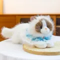 Realistic white and brown Ragdoll cat plush toy wearing a decorative blue lace collar - 43cm / Beige Ragdoll