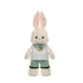 Cute plush rabbit toy wearing white t-shirt with happy embroidery and green shorts - 45 cm / Dress-up Long-eared Rabbit