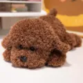Weiches magnetisches braunes Teddyhund-Plüschtier, liegend, für Büro oder als Geschenk - 33cm / Kaffeebraun