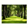 Sfondo fotografico di un viale forestale verde lussureggiante per ritratti all'aperto - 95x75cm / Paesaggio Sentiero Forestale (SBJ-005)