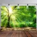 Sfondo fotografico professionale con foresta verde assolata per decorazione da studio - 95x75cm / Foresta Soleggiata (SBJ-006)
