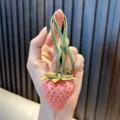 Adorable pink resin strawberry bag charm with green leather strap for stylish handbag decoration - Medium Pink Strawberry (Leather Cord) / Pink