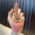 Colgante de fresa de resina rosa realista para llavero sostenido en la mano de escala - Fresa Grande Rosa