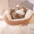 Lindo adorno de peluche de gato durmiendo en cama de lunares marrones - Gato Silver Shaded / 13cm
