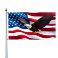 Hoogwaardige Amerikaanse vlag van polyester met kale arend voor buitenhuisdecoratie - Vlag Arend Stijl (Q-002) / 150x90cm (Enkelzijdig)
