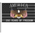 America 250th anniversary garden flag for Independence Day celebration outdoor decor - Single-Sided Style (Q-004) / 150x90cm