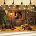 Retro Westerse cowboy schuur hout fotografie achtergrond voor themafeest decoraties - SBJ-006 / 95x75cm / Retro Bruin