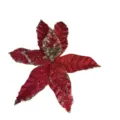 Sparkling red artificial poinsettia flower with gold glitter for Christmas tree - Red