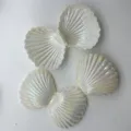 Élégante grande boîte à bonbons et cadeaux en plastique en forme de coquillage nacré - Pièce Unique / Blanc perle