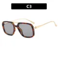 Grandes lunettes de soleil carrées rétro avec monture écaille et double pont doré - Style Écaille Gris Léger (C3)