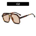 Classic tortoise shell aviator sunglasses with double bridge and arrow rivet details. - Tortoise Frame Tea Lens