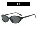 Retro schwarze Katzenaugen-Sonnenbrille mit elegantem Rahmen für stilvolle Damen 2025 - C2-Glänzend Schwarzer Rahmen Graue Gläser
