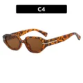 Gafas de sol modernas con montura pequeña irregular y carey con lentes de color marrón - Estilo de Marco Pequeño Irregular (C4) / Carey Té Lente