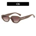 Stylish brown irregular small frame sunglasses with silver temple detail for women - Solid Tea Double Tea Lens