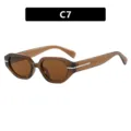 Stylish irregular small frame sunglasses in a warm brown amber finish - Variant C7 - Transparent Tea