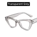 Chic cat-eye sunglasses with transparent grey frame and clear white lenses for women - Transparent Grey Frame Clear Lens / Metal Hinge