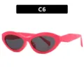 Stijlvolle roze cat eye zonnebril met klein ovaal montuur en goede UV-bescherming C6 - Rosé Rood Frame Grijze Lenzen