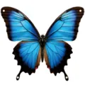 Lifelike blue butterfly shaped photography backdrop for children party photo decorations - Butterfly Shape Style 5 (SYX-005) / 180x160