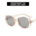 Gafas de sol ovaladas retro con montura de té transparente y lentes gris claro - Marco de Té Transparente Lentes Gris Claro