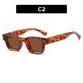 Gafas de sol retro con montura pequeña de leopardo y cristales marrones estilo hip-hop - Estilo C2 (5306) / Estampado de Leopardo