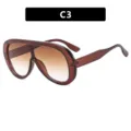 Oversized retro sunglasses with brown gradient lenses and one-piece frame design - Tea Frame Gradient Tea